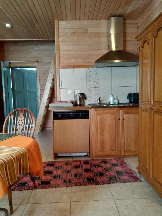 Guest House Pitagi Košrags Exteriér fotografie
